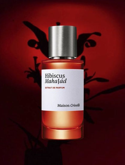 Hibiscus Mahajád Maison Crivelli