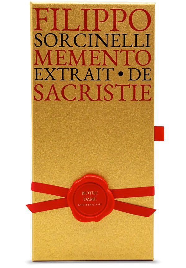 Notre Dame Notte di Natale