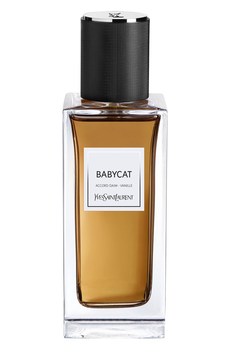 Ysl Babycat