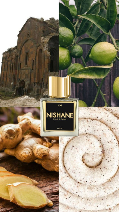 Ani Nishane