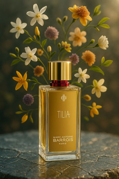 Tilia Marc-Antoine Barrois