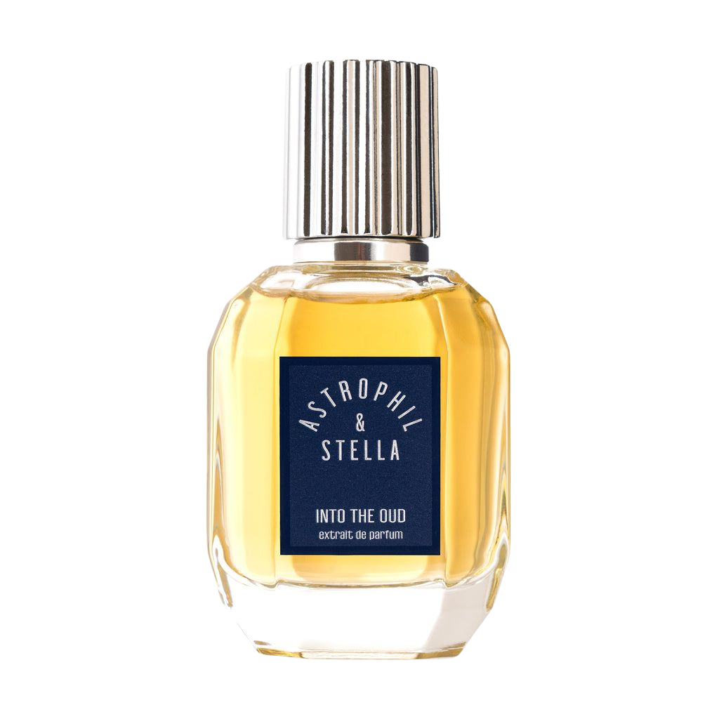 Into The Oud Astrophil & Stella