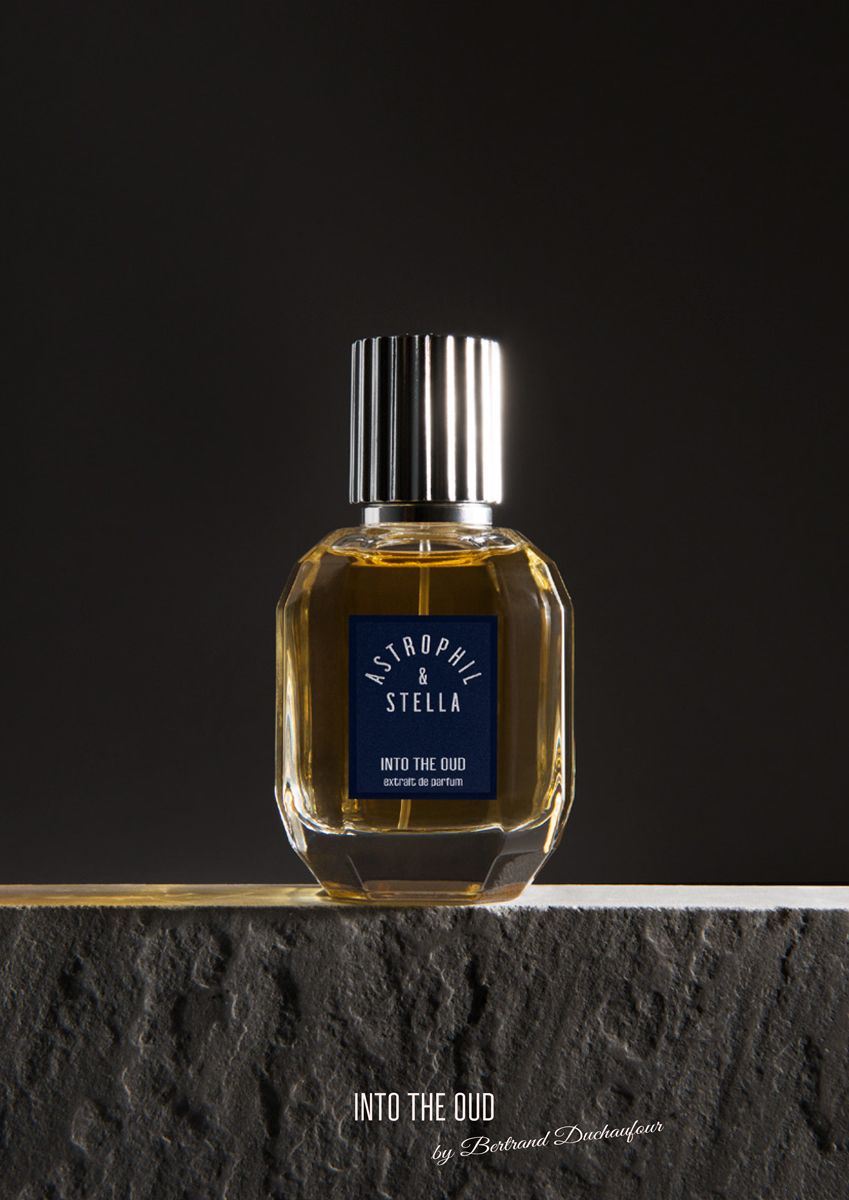 Into The Oud Astrophil & Stella