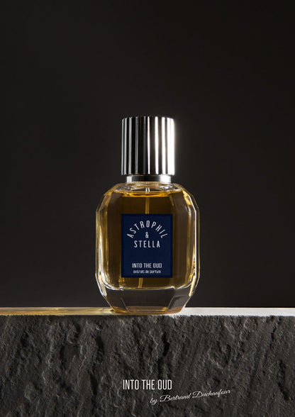 Into The Oud Astrophil & Stella